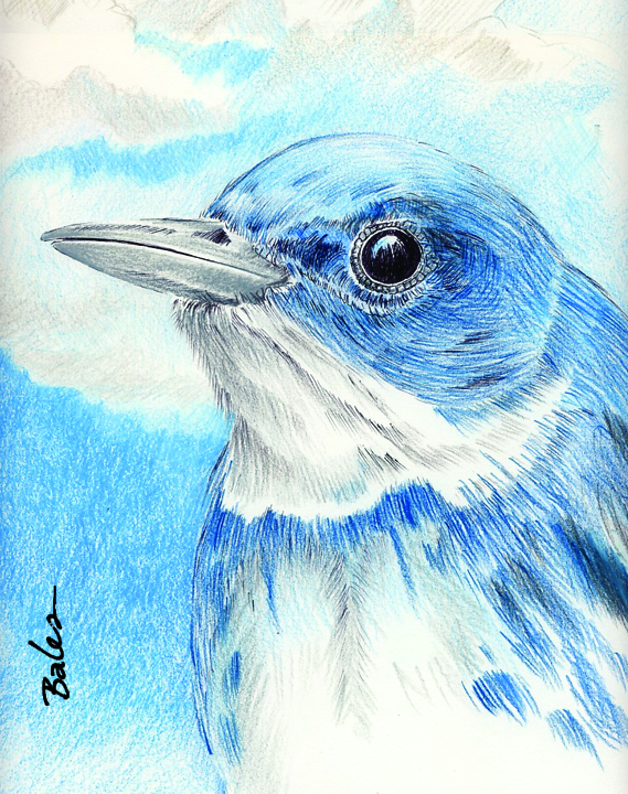 Cerulean Art